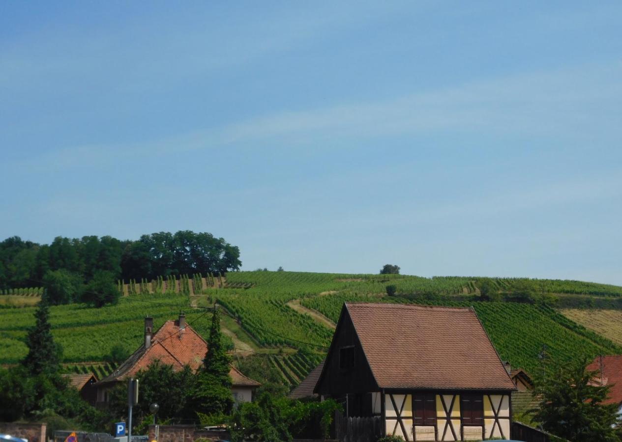 Gewurztraminer - Studio Au Pied Du Vignoble - Renove Recemment - Parking Gratuit Riquewihr Kültér fotó