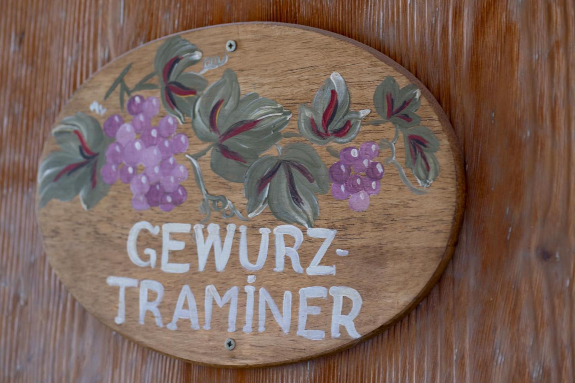 Gewurztraminer - Studio Au Pied Du Vignoble - Renove Recemment - Parking Gratuit Riquewihr Kültér fotó
