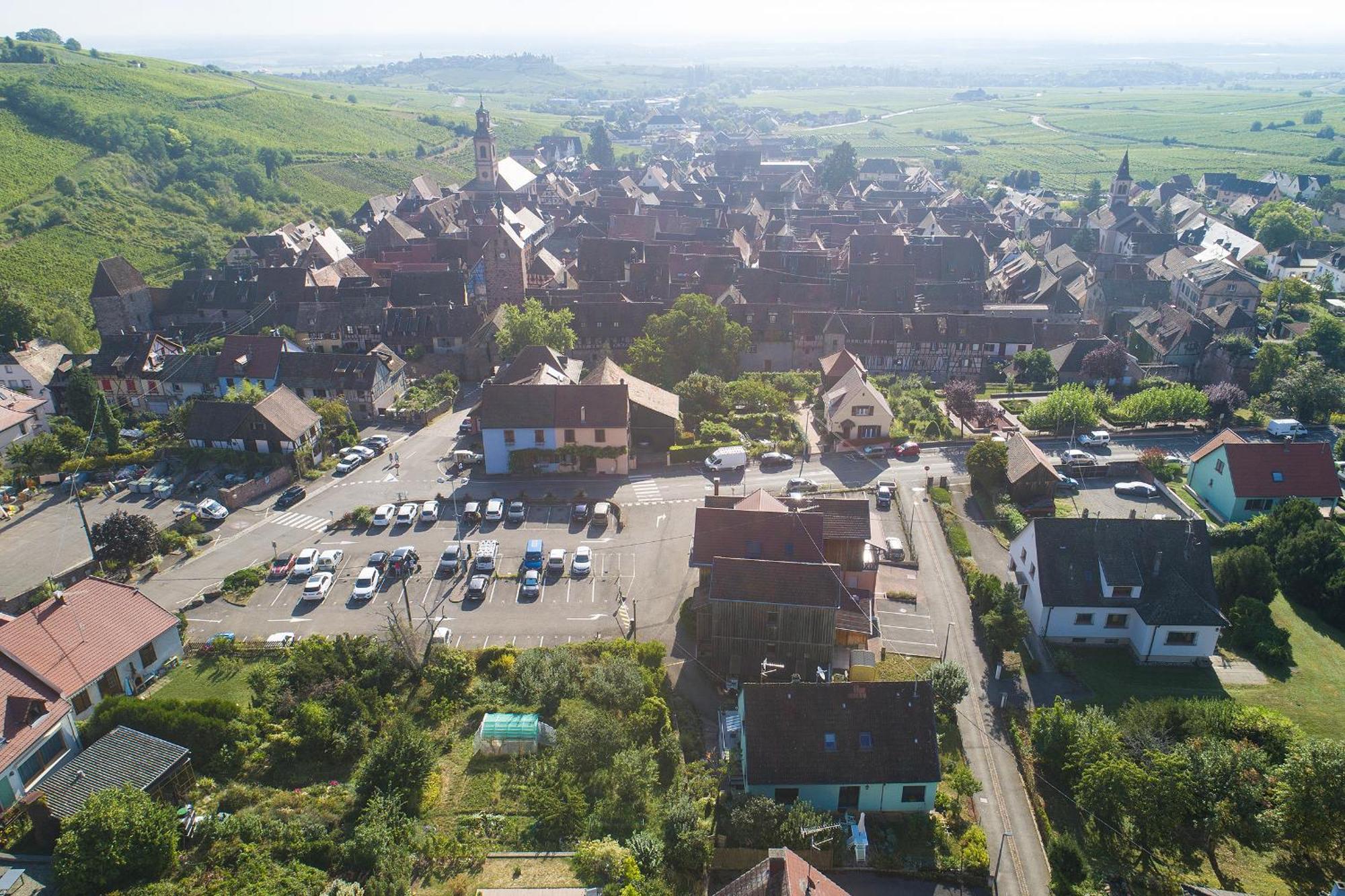 Gewurztraminer - Studio Au Pied Du Vignoble - Renove Recemment - Parking Gratuit Riquewihr Kültér fotó